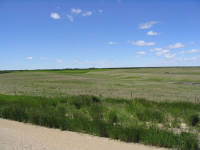 Picture of Fluting Plains at groundlevel