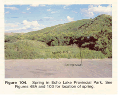 Picture of Spring in 1975