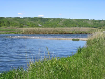 Picture of Sandbar and Marsh at Stop 3